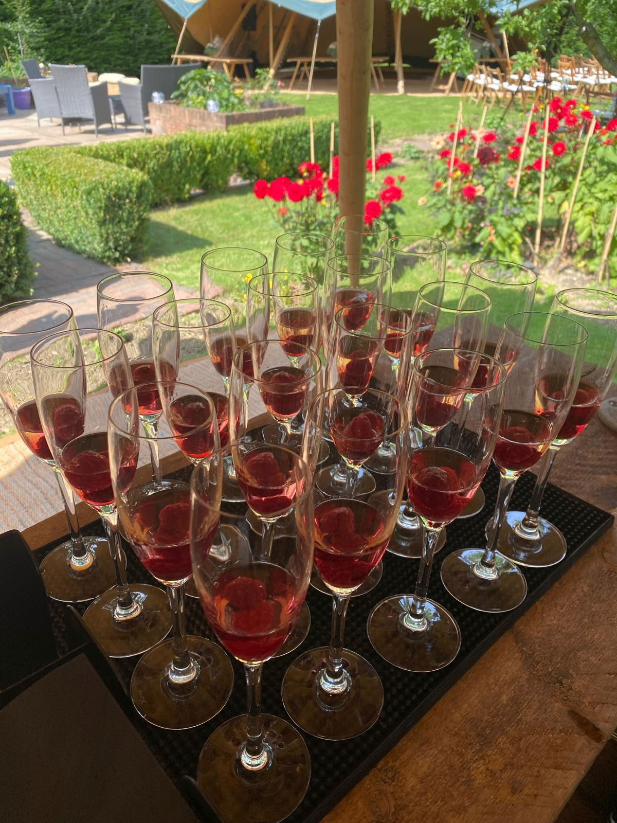 Raspberry prosecco flutes lined up on a wooden bar with tipi and garden behind
